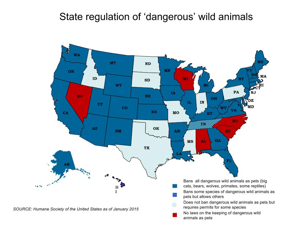 Wisconsin one of five states where 'dangerous' exotic animals can be pets -  Wisconsin Watch