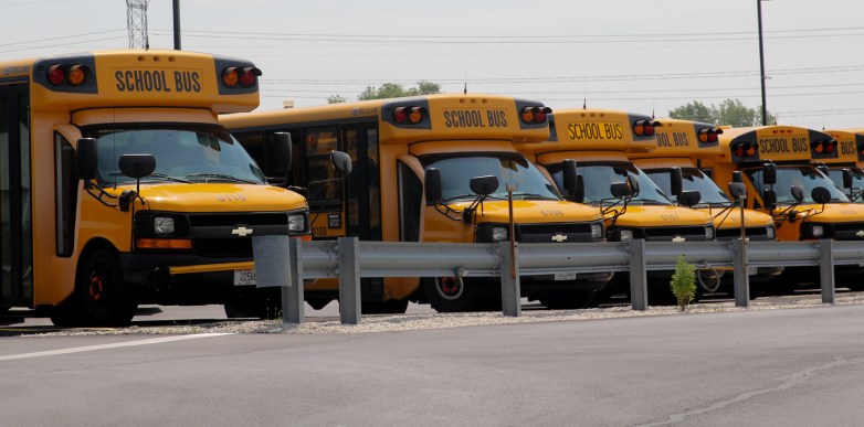 Yellow school buses parked in a row