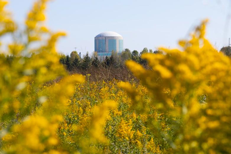 Yellow vegetation frames nuclear silo in distance.