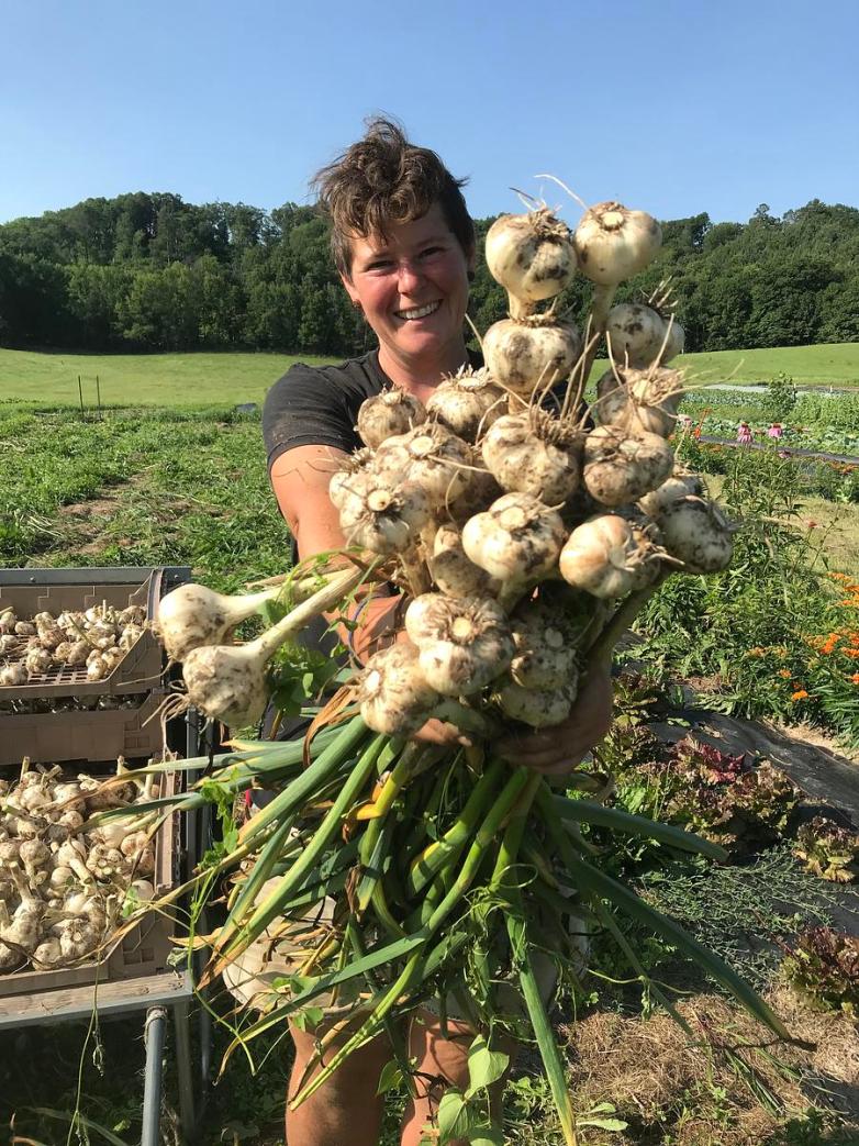 A person standing in a field on a sunny day holds a large bundle of garlic, with more garlic in bins and green crops growing in the background.