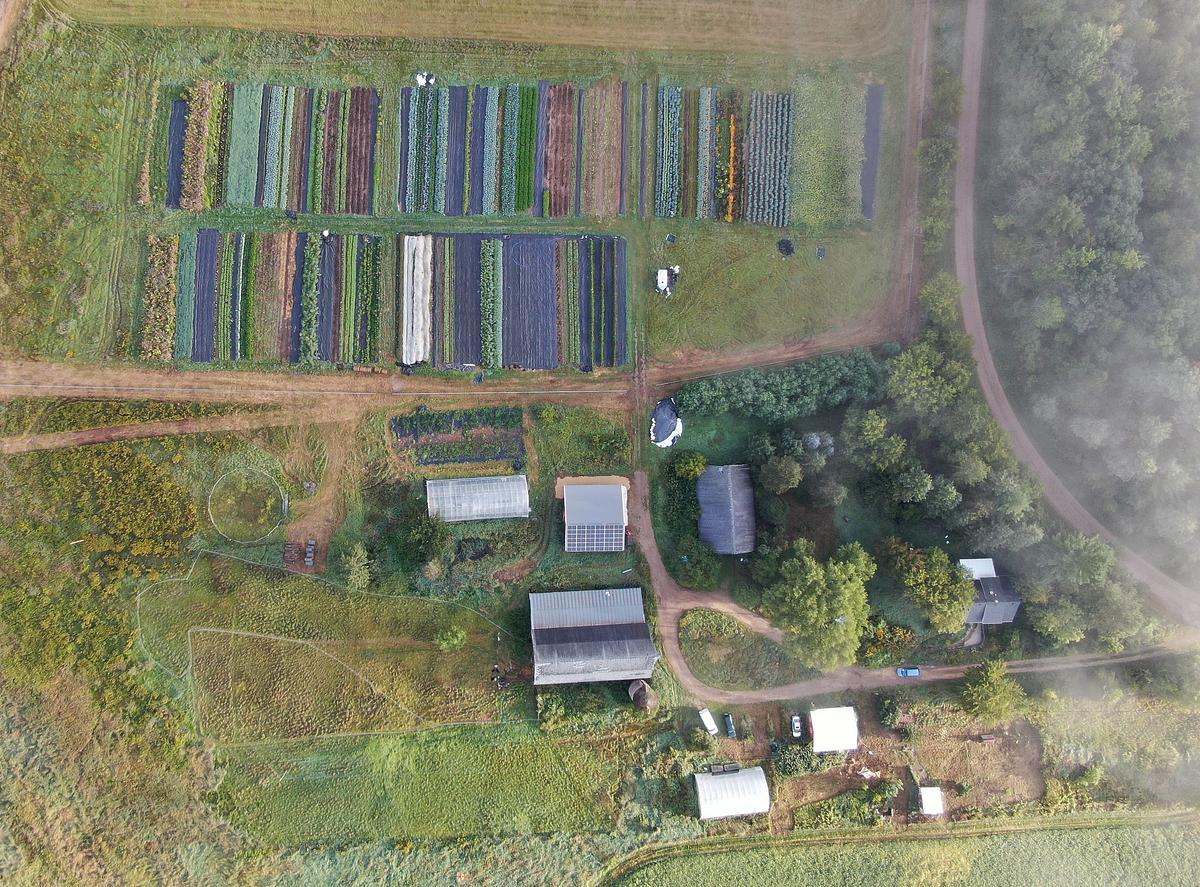 Aerial view of a farm with rectangular plots of crops in various colors, several greenhouses and barns, and a road curving past trees.