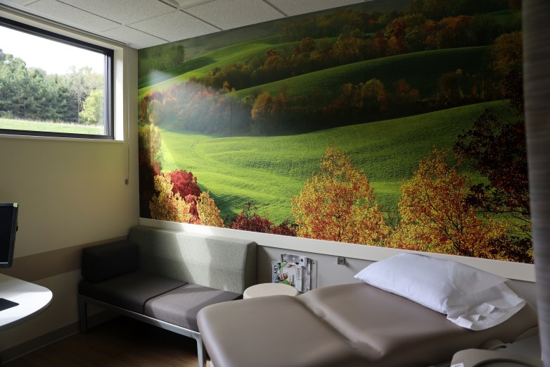 A room contains an examination table, a bench and a large wall mural of rolling green hills with autumn trees, with a window overlooking trees outside.
