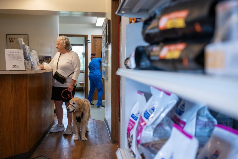 A person holds a golden-colored dog on a leash at a counter while another person in blue scrubs stands in a hallway in the background.