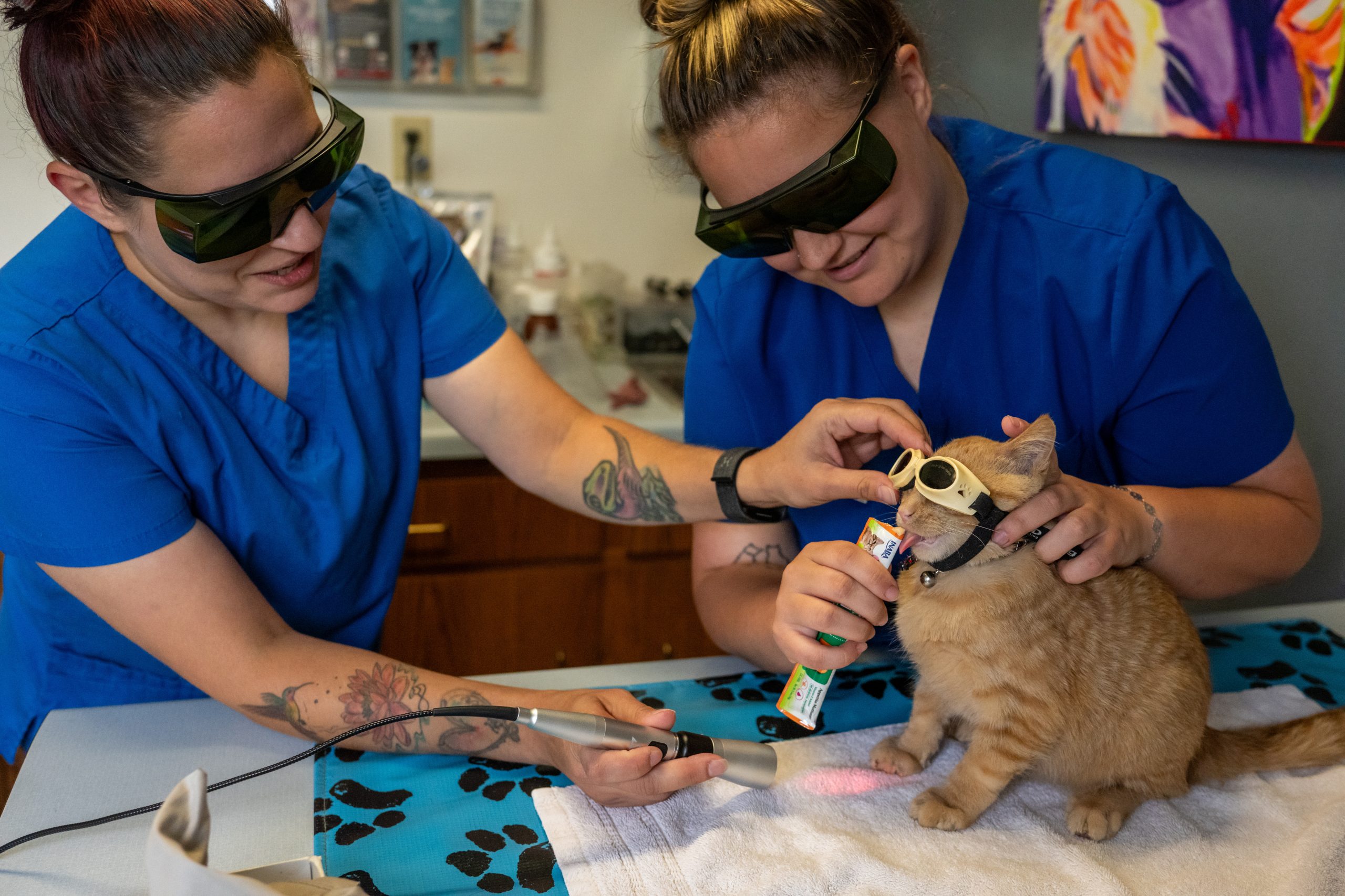 Two people in blue scrubs and protective glasses hold a cat wearing protective goggles on an exam table while using a handheld device near its paws.